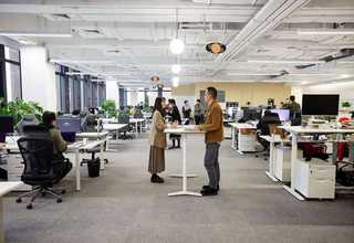 楊浦植物租賃方案