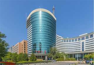 寶山展會(huì)綠植租賃平臺(tái)