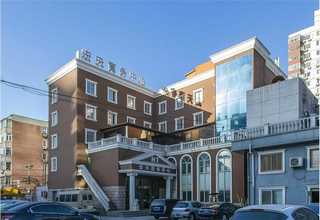 東營金釵石斛批發(fā)價格